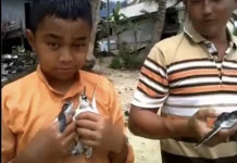 Pulau Senoa Natuna, Rumah Penyu yang Harus Terus Dijaga