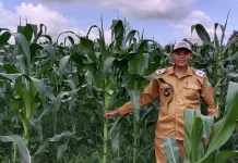 Desa Air Lengit dan Kelurahan Ranai Darat Raih Prestasi di Tingkat Provinsi