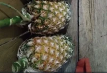 Kandungan Vitamin Buah Nanas yang Baik untuk Kesehatan