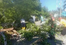 Babinsa Serasan Bantu warga Membersihkan Dahan Pohon yang Jatuh Menutupi Jalan