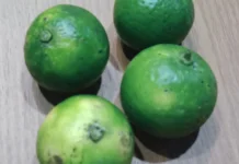 Kandungan Vitamin yang Terkandung dalam Jeruk Nipis