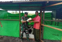 Babinsa Sertu Suwarno melaksanakan komsos dengan petugas BUMDES desa pangkalan