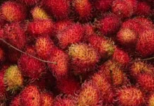 Rambutan Lokal, Cita Rasa Tidak Kalah Saing