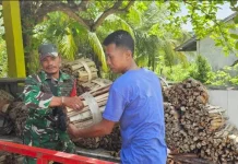 Babinsa Serasan Sertu Hendry Bantu Warga Angkat Kayu Bakar