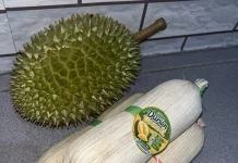 Musim Durian, UMKM Mulai Dagangkan Produk Olahan Durian