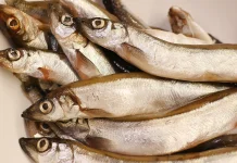 Perbedaan Ikan Laut dan Ikan Air Tawar, Mana yang Lebih Baik?