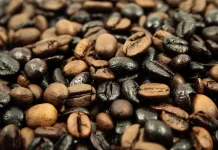 Mengenal Perbedaan Kopi Robusta dan Arabika