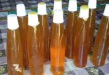 Madu Natuna, Pemanis Alami dengan Beragam Manfaat bagi Kesehatan