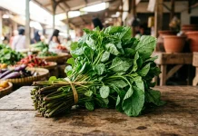 Manfaat Bayam untuk Anemia: Kandungan Zat Besi yang Baik bagi Tubuh