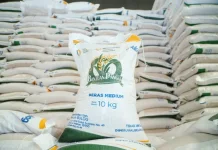 Pemerintah Salurkan 997,2 Ribu Ton Beras Mulai Agustus, Jangkau 33,24 Juta KPM