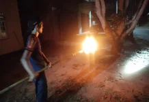 Damkar Natuna Musnahkan Sarang Tawon di Batu Hitam