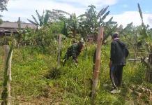 Pererat Kebersamaan, Babinsa Semedang Bantu Warga Bersihkan Kebun