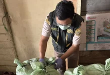 Karantina Kepri Periksa Lebih dari Satu Ton Biji Tempayan Asal Natuna