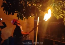 Damkar Natuna Evakuasi Sarang Tawon di Permukiman Warga Bandarsyah