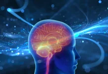 Kebiasaan Sehari-hari yang Bisa Mempercepat Penuaan Otak