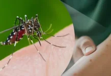 Waspadai Musim Penghujan, Masyarakat Diimbau Tingkatkan Upaya Pencegahan DBD