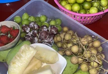 Cara Menyimpan Buah agar Tetap Segar dan Tidak Cepat Busuk