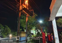 Damkar Natuna Evakuasi Sarang Tawon di Gardu   PLN Ranai Darat