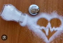 Benarkah Garam Satu Satunya Penyebab Hipertensi