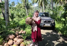 DKPP Natuna Tinjau Calon Sumber Benih Kelapa dalam di Sepempang