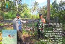Babinsa Percepat Lahan Koperasi Merah Putih