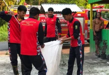Damkar Natuna Evakuasi Ular di Permukiman Warga Bandarsyah