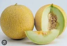 Manfaat Buah Melon untuk Kesehatan Optimal Ibu Hamil
