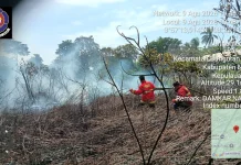Damkar Natuna Padamkan Dua Hektare Lahan Terbakar di Puak