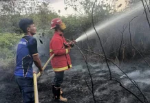 Damkar Natuna Berhasil Tangani Kebakaran Lahan di Sedarat Baru Batubi
