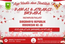 Pawai dan Atraksi Budaya Meriahkan HUT RI di Bunguran Utara