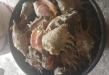 Mengolah Sajian Kerang Ranga Gurih ala Mak Cik Sur