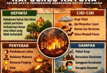 Kemarau datang, Karhutla mengintai