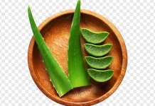 Manfaat Masker Lidah Buaya untuk Wajah