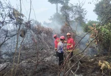 Lahan Seluas Satu Hektare Area Perumahan Pemda Natuna Terbakar