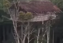 Mengenal Rumah Suku Karawoi