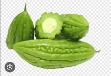 Manfaat Buah Pare untuk Kesehatan Tubuh