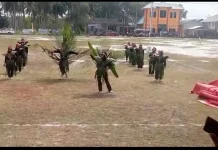 Tari Cik Abu Angkat Kehidupan Petani Kelapa8