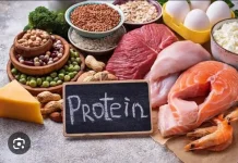 Makanan Tinggi Protein untuk Jantung Sehat dan Berat Badan Ideal