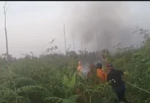 Lahan Seluas 10 Hektare di Padang Hangus Terbakar