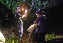 Damkar Natuna Evakuasi Sarang Tawon di Rumah Warga Air Kolek