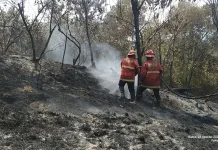 Lahan Seluas Empat Hektare di Sebayar Terbakar