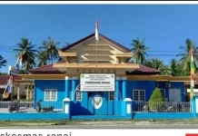 Kasus ISPA Masih Tertinggi di Puskesmas Ranai