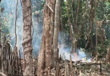 Hindari Buka Lahan Kebun dengan Cara Membakar