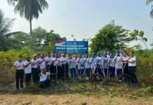 Panen Singkong Lanal Ranai Hasilkan 4 Ton, Dukung Ketahanan Pangan