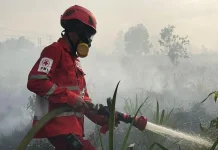 Karhutla Masih Mengancam Kalimantan