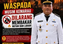 Camat Bunguran Utara Imbau Warga Waspadai Karhutla