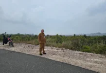 Camat Batubi Tinjau Kebakaran di Perbatasan Kelarik