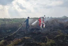 Kebakaran Lahan di Jalur Batubi-Kelarik, 7 Hektare Terbakar