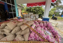 Karantina Natuna Temukan Produk Hewan,Ikan dan Tumbuhan tanpa Dokumen