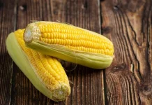 Kenali Manfaat Jagung bagi Kesehatan Tubuh